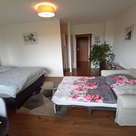 Exklusives Apartment Zw. Lu Und Speyer Mit Aufzug Neuhofen Екстериор снимка